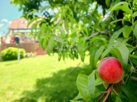 Zalaegerszeg Családi ház 55