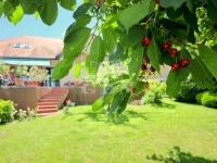 Zalaegerszeg Családi ház 56
