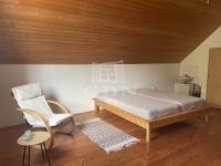 Lispeszentadorján 家庭别墅 7