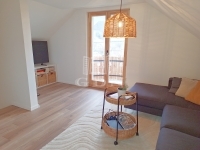 Zalaegerszeg 家庭别墅 13