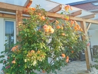 Böhönye Családi ház 24