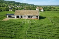 Szekszárd Családi ház 12