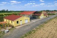 Balogunyom Mezőgazdasági terület 11