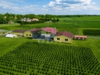 Balogunyom Mezőgazdasági terület - 230.126.000 Ft