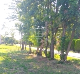 Pázmánd 土地 1