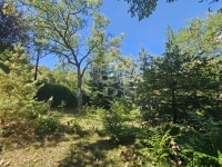 Budapest XII. kerület 公寓房（砖头） 15