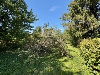 Diósd Telek - 149.900.000 Ft