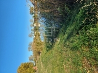 Tiszakécske 土地 2