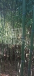 Tata Участок 7