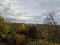 Dunaalmás Week-end house 1