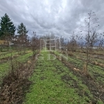 Nagyigmánd Mezőgazdasági terület - 23.000.000 Ft