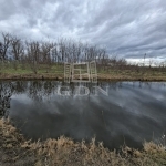 Nagyigmánd Mezőgazdasági terület 0