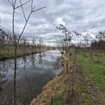 Nagyigmánd Mezőgazdasági terület 1