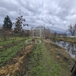 Nagyigmánd Mezőgazdasági terület 2