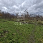 Nagyigmánd Mezőgazdasági terület 3