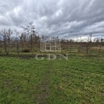 Nagyigmánd Mezőgazdasági terület 4