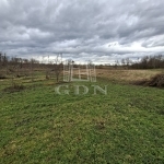 Nagyigmánd Mezőgazdasági terület 5