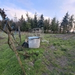 Nagyigmánd 家庭别墅 33