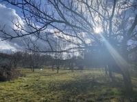 Sárszentmihály Building lot 1