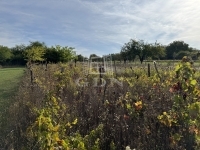 Pátka 家庭别墅 18