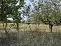 Pátka 家庭别墅 19