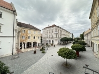 Székesfehérvár Lakás (téglaépítésű) 10