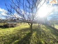 Sárszentmihály Building lot 0