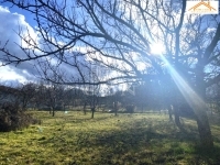 Sárszentmihály Building lot - 13.000.000 HUF