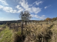 Csákvár Building lot 12