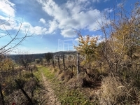 Csákvár Building lot 9