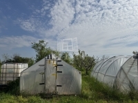 Mátyásdomb Family House 10