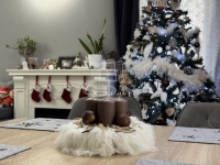 Polgárdi 家庭别墅 2