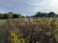 Pátka 家庭别墅 14