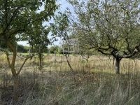 Pátka 家庭别墅 15