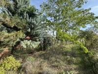 Pátka 家庭别墅 16