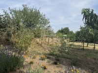 Pákozd Casa De vacanta 7