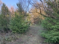 Balatonakarattya 夏季别墅 22