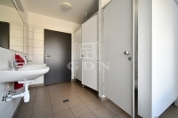 Lovasberény Ipari terület 19