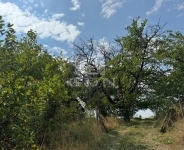 Lovasberény 农场 3