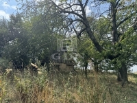 Lovasberény 农场 2