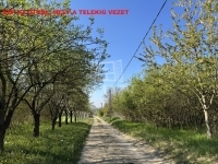 Vértesacsa Telek 0