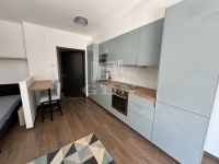 Budapest IX. kerület Flat (brick) 1