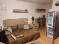 Budapest VII. kerület 公寓房（砖头） 2