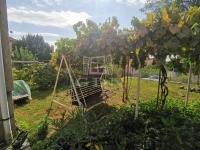 Budapest XXI. kerület Частный дом 5