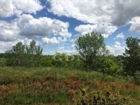 Budapest XVI. kerület Családi ház 13