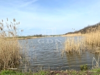 Mezőszilas 土地 4