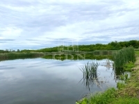 Mezőszilas 土地 0