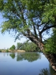 Mesterszállás 土地 2