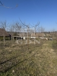 Mohács 农场 11