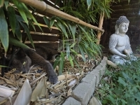 Gödöllő Flat (brick) 18